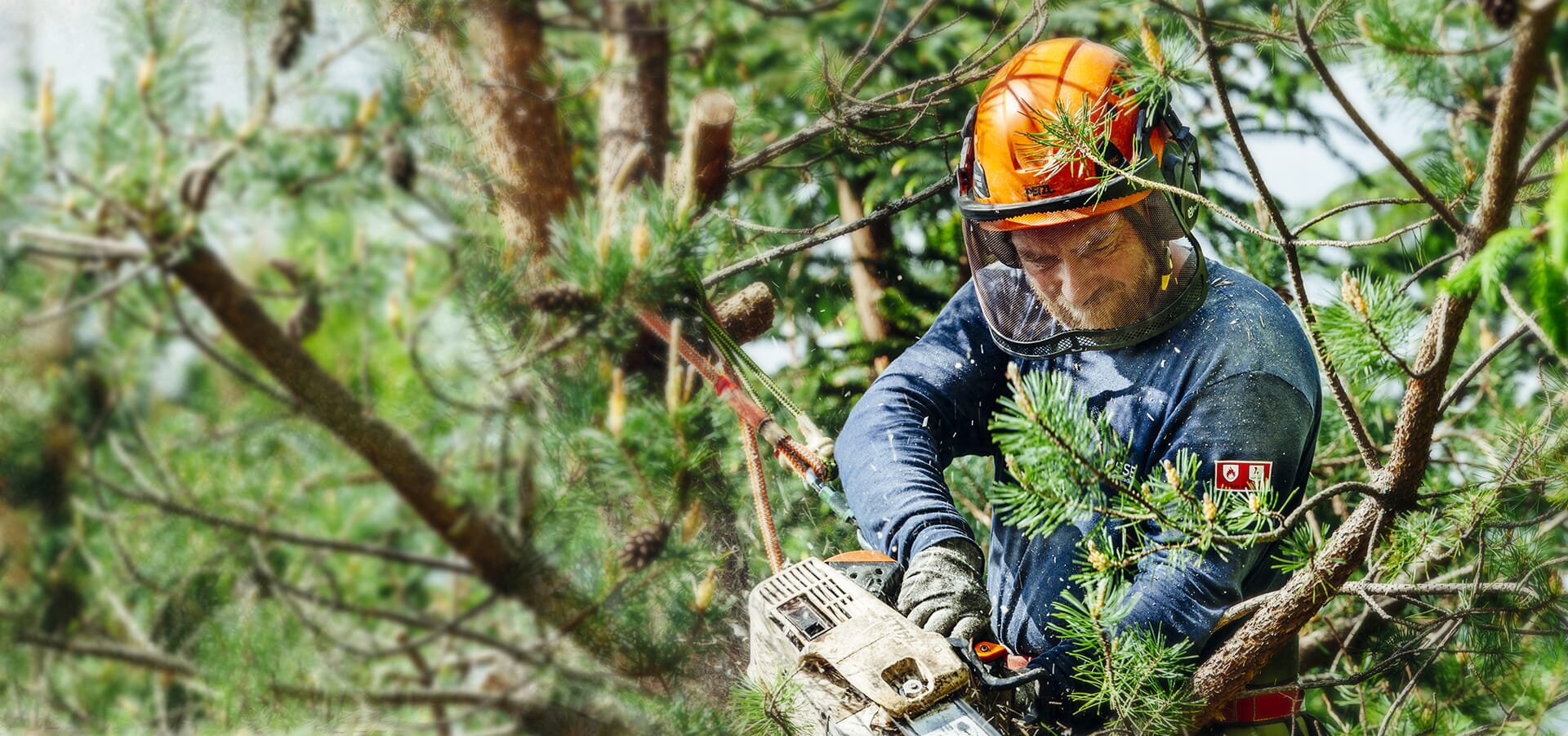 Tree Trimming Services